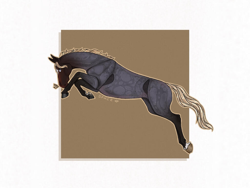 EQUINE FULL BODY